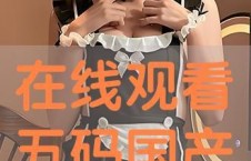 东京热国产在线,揭秘日本成人影视产业的魅力与争议